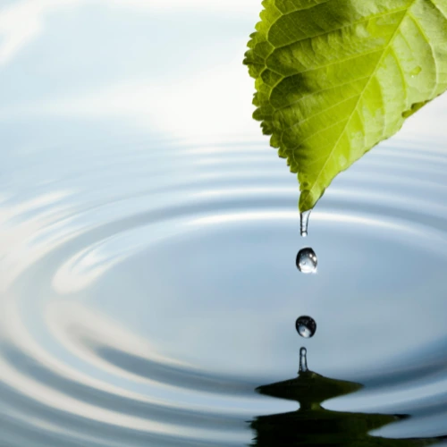 Tsebo Solutions Group | Water and Sanitation Africa Interview