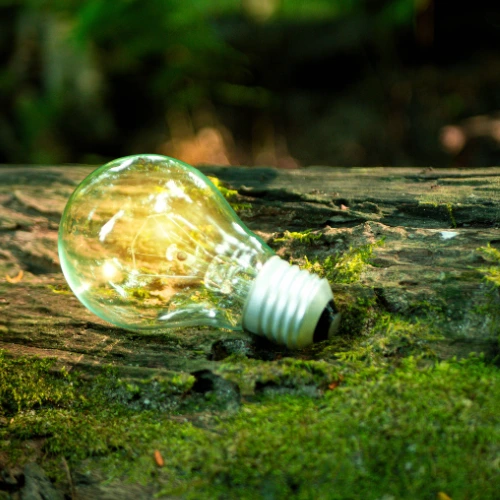 Tsebo Solutions Group | Sustainability Roundtable